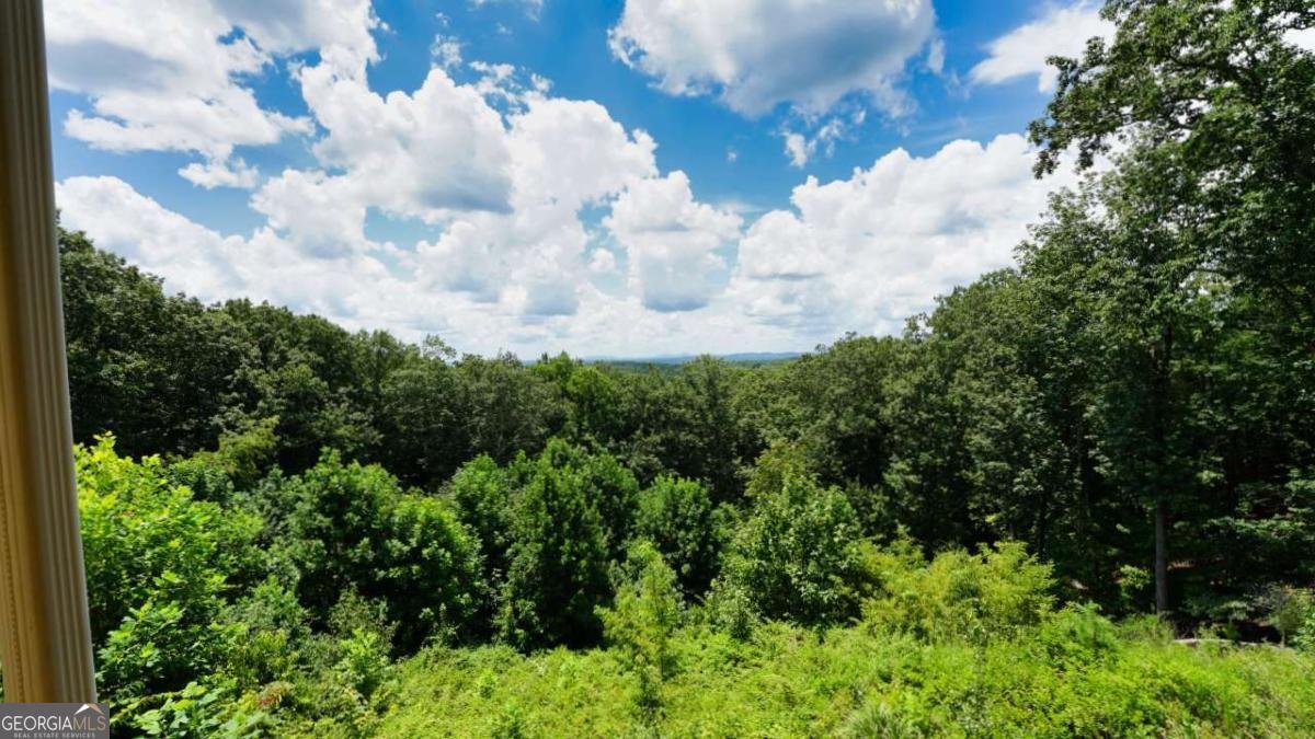 271 Highlands Dr Clarkesville - Photo 73