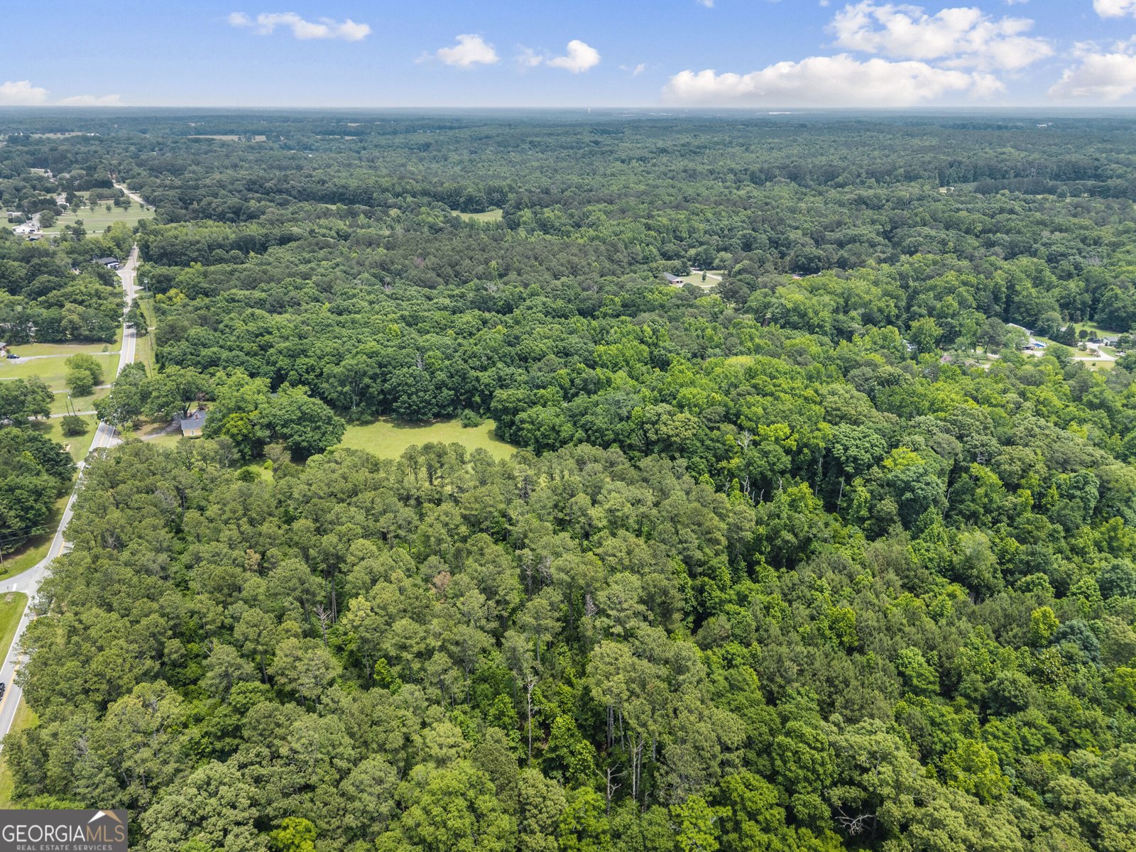 1047 Dixie Road Covington - Photo 42