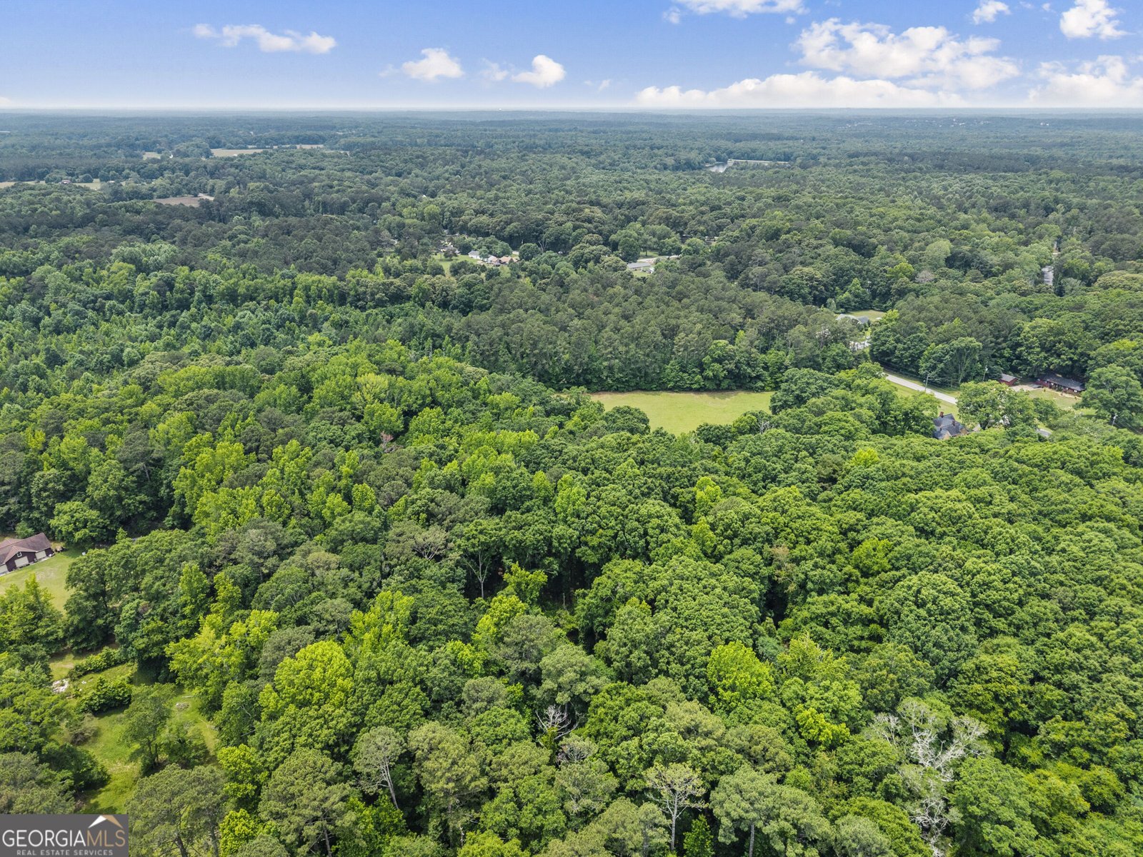 1047 Dixie Road Covington - Photo 44