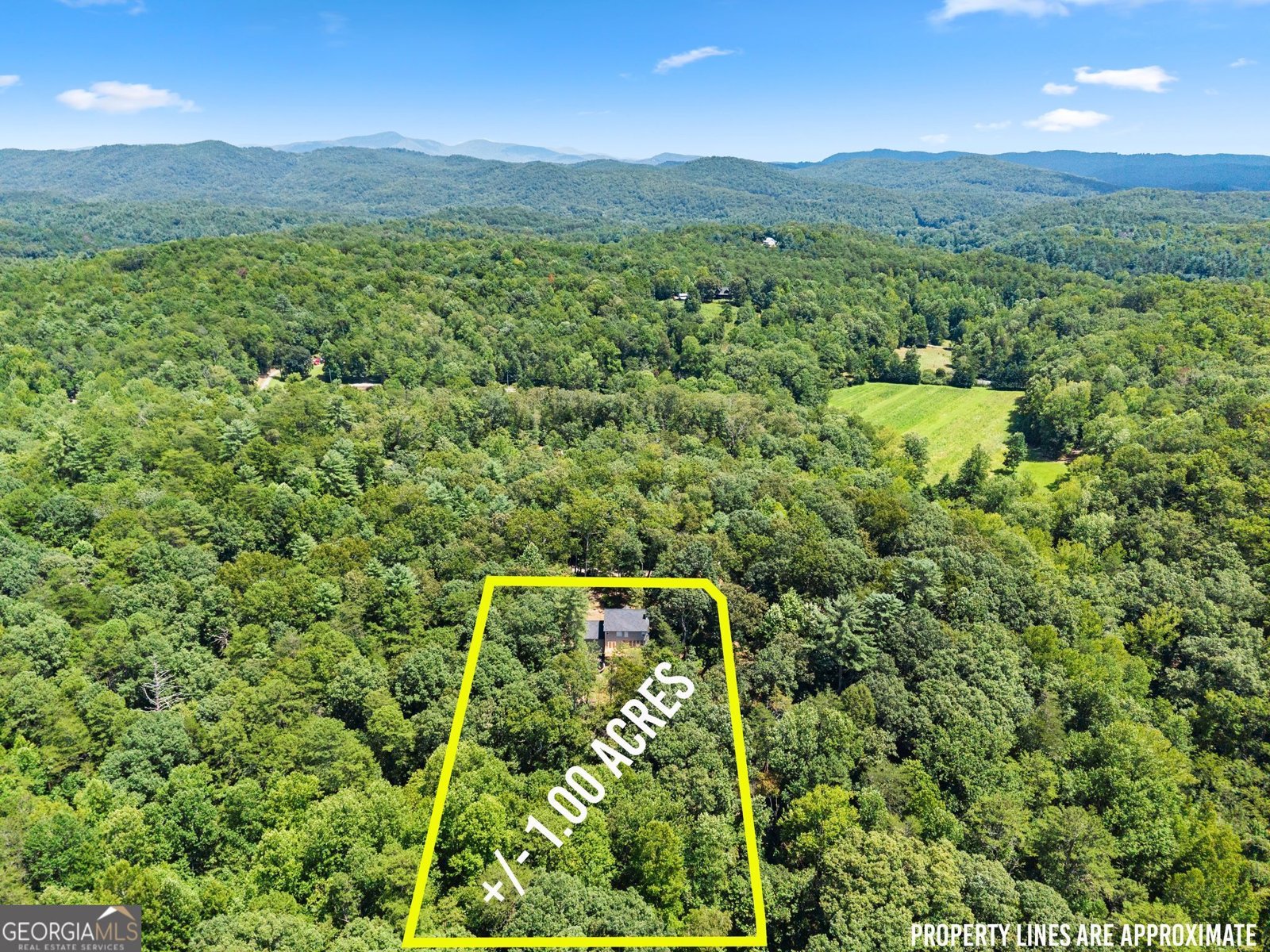 188 Marion Lane Sautee Nacoochee - Photo 46