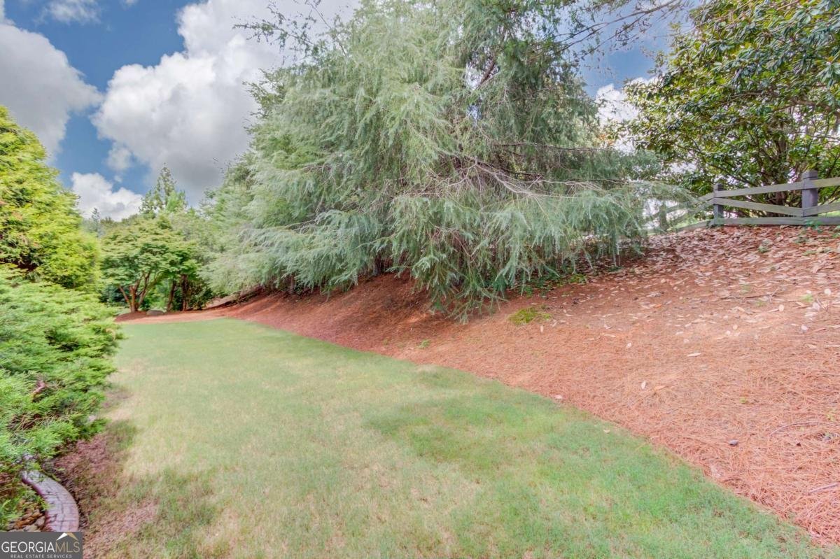 2843 White Azalea Street Buford - Photo 41
