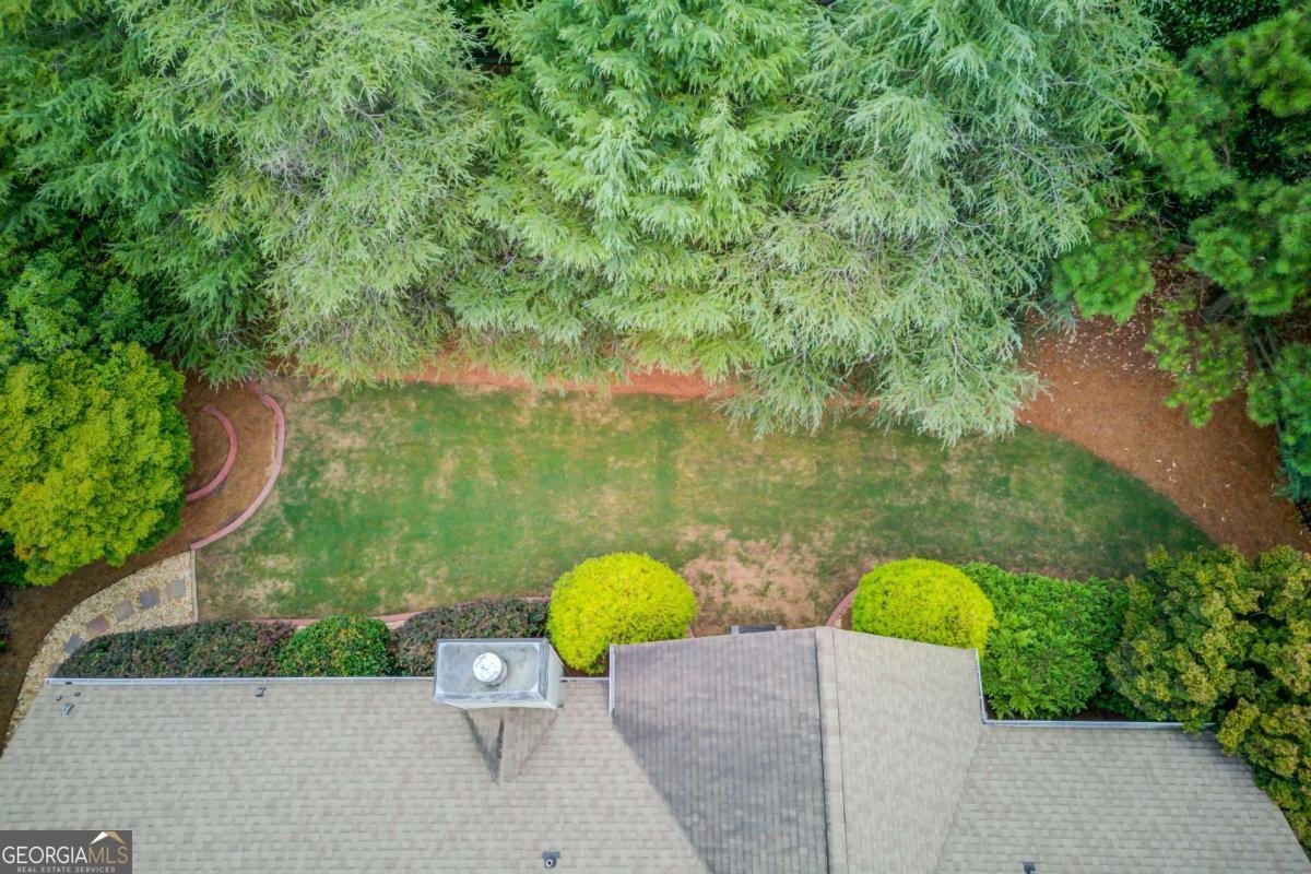 2843 White Azalea Street Buford - Photo 47