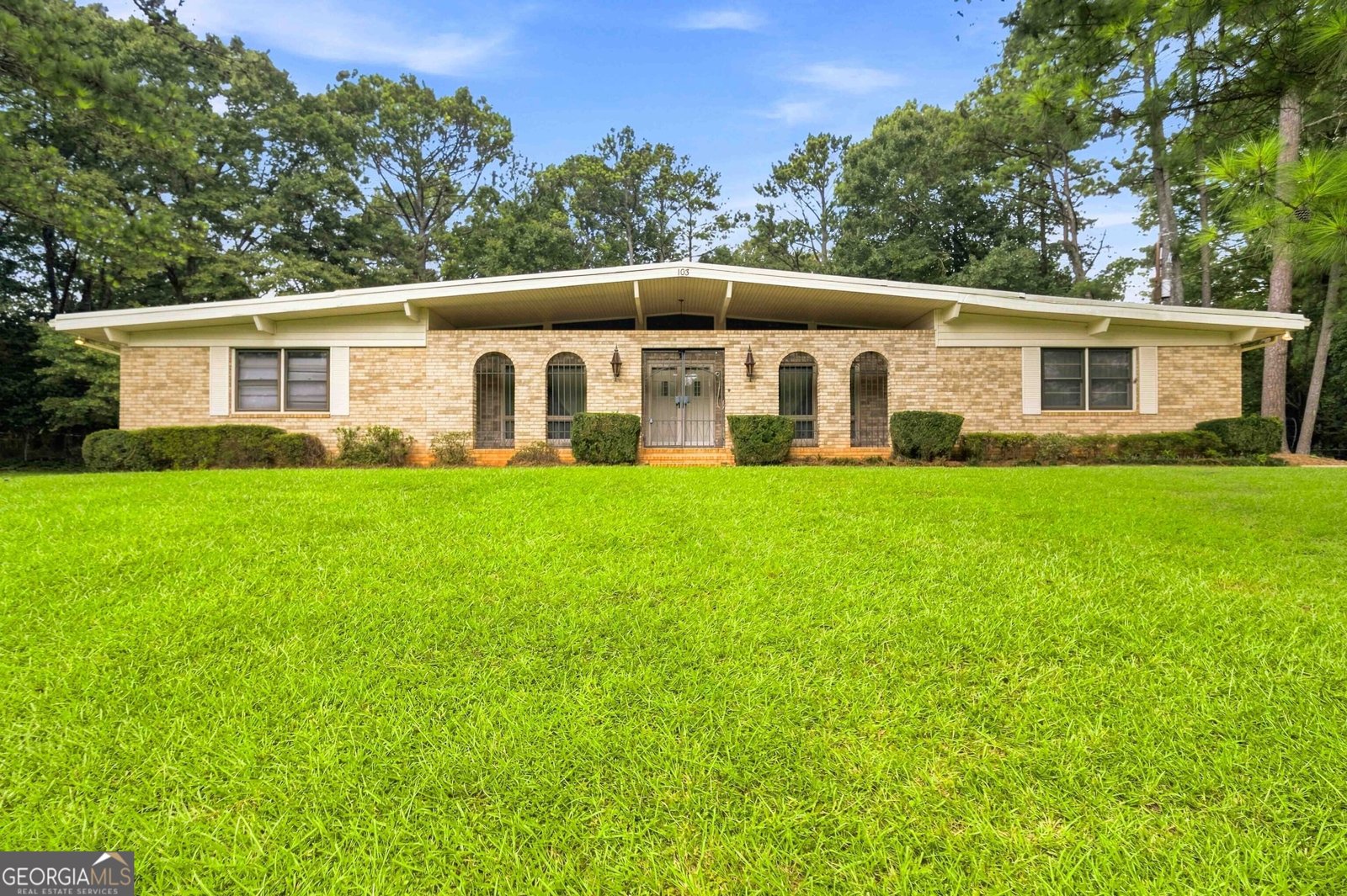 103 Club Court Stockbridge - main photo
