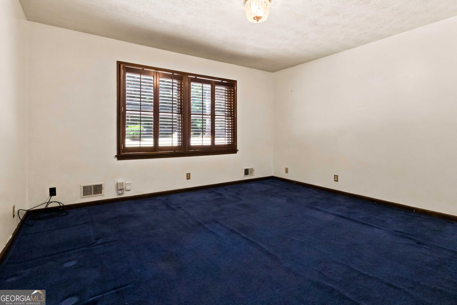 103 Club Court Stockbridge - Photo 18