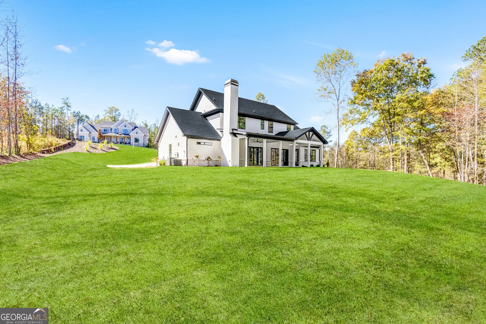121 Forest Berry Court Newnan - Photo 46