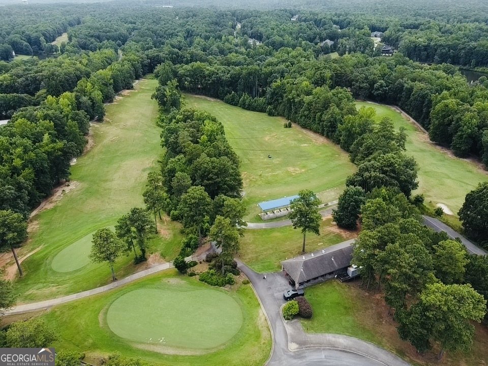 121 Forest Berry Court Newnan - Photo 57