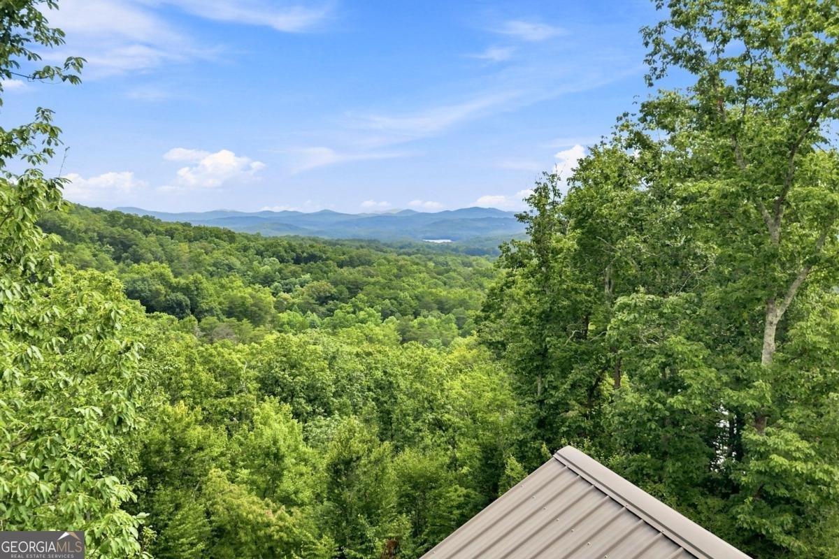 476 Deer Crest Road Blue Ridge - Photo 41