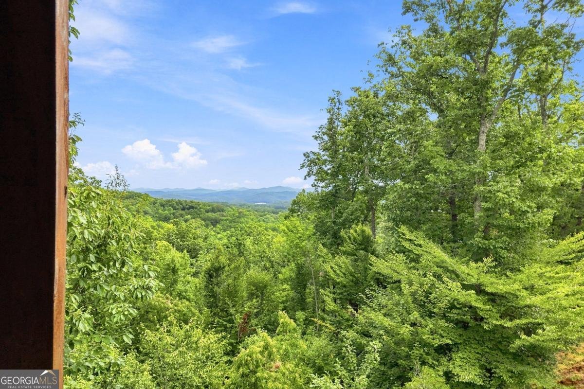 476 Deer Crest Road Blue Ridge - Photo 47