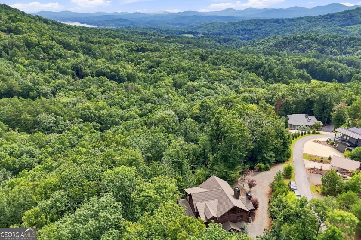 476 Deer Crest Road Blue Ridge - Photo 63