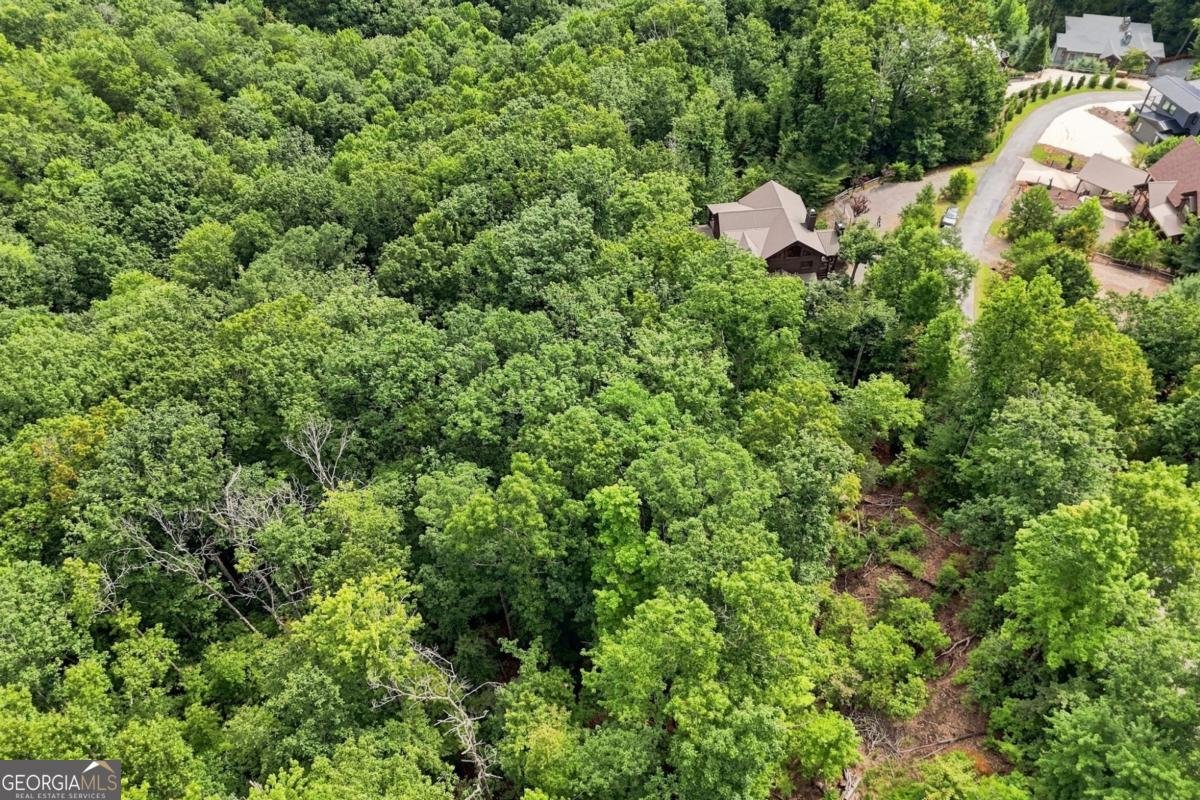476 Deer Crest Road Blue Ridge - Photo 87