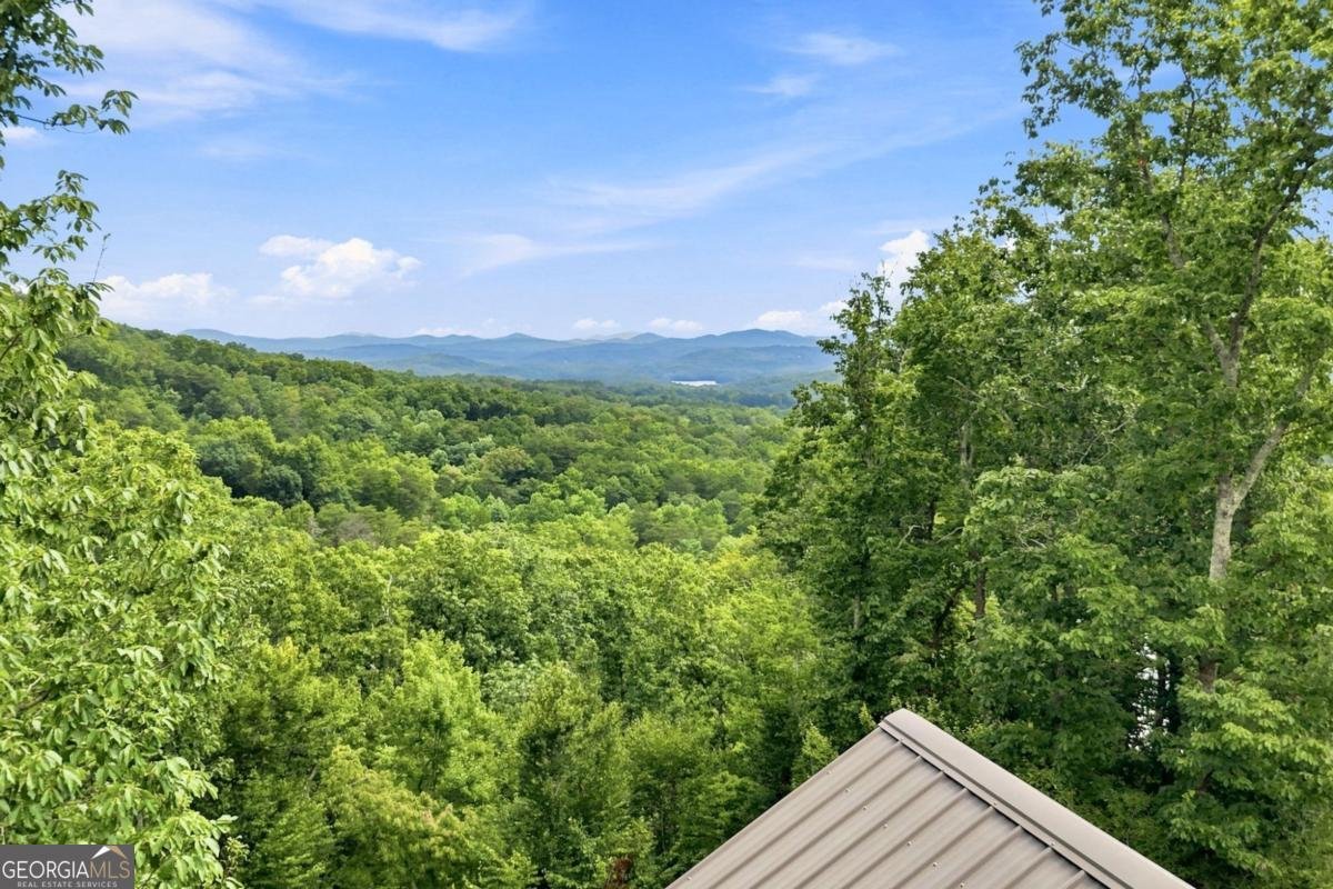 476 Deer Crest Road Blue Ridge - Photo 88