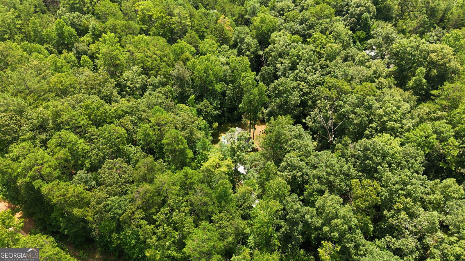 162 Delilah Lane Lakemont - Photo 43