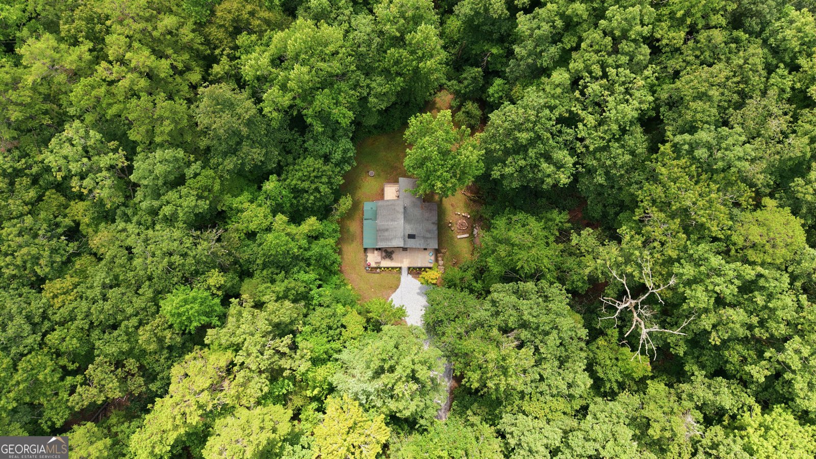 162 Delilah Lane Lakemont - Photo 46