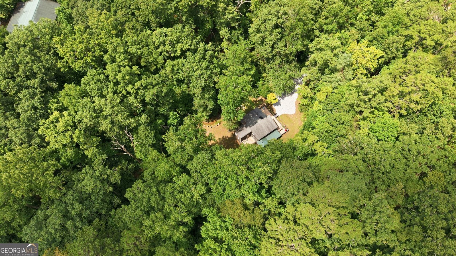 162 Delilah Lane Lakemont - Photo 47
