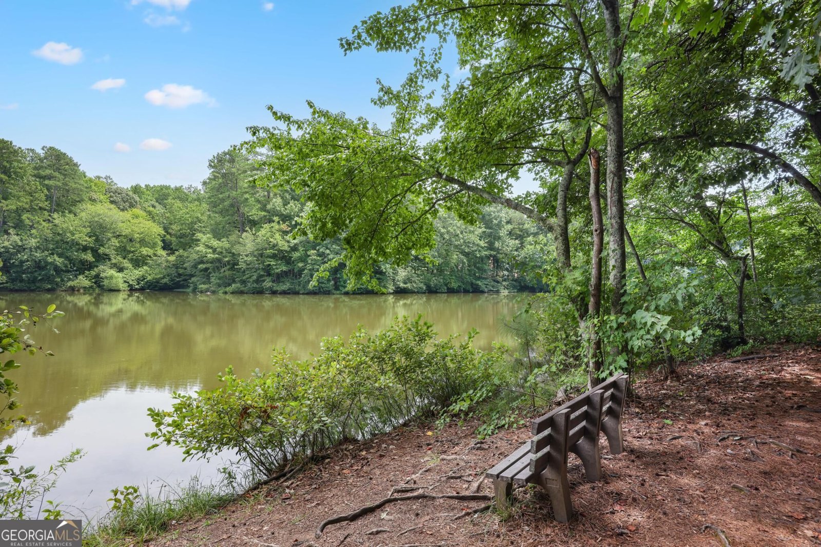 58 Vinings Lake Drive Mableton - Photo 31