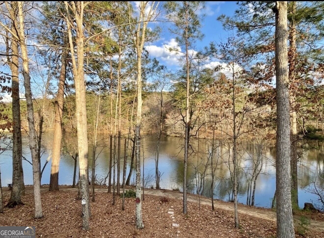 58 Vinings Lake Drive Mableton - Photo 36