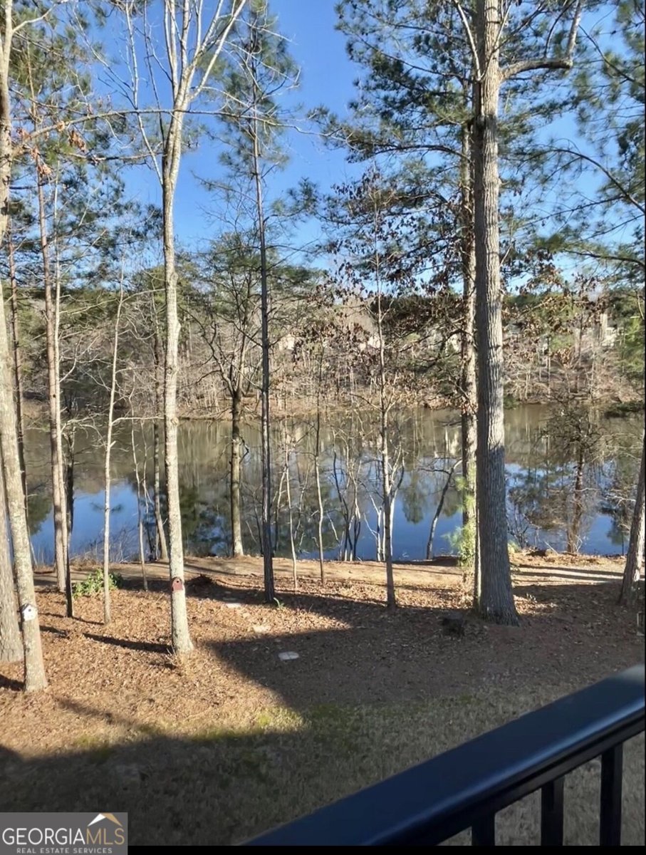 58 Vinings Lake Drive Mableton - Photo 37
