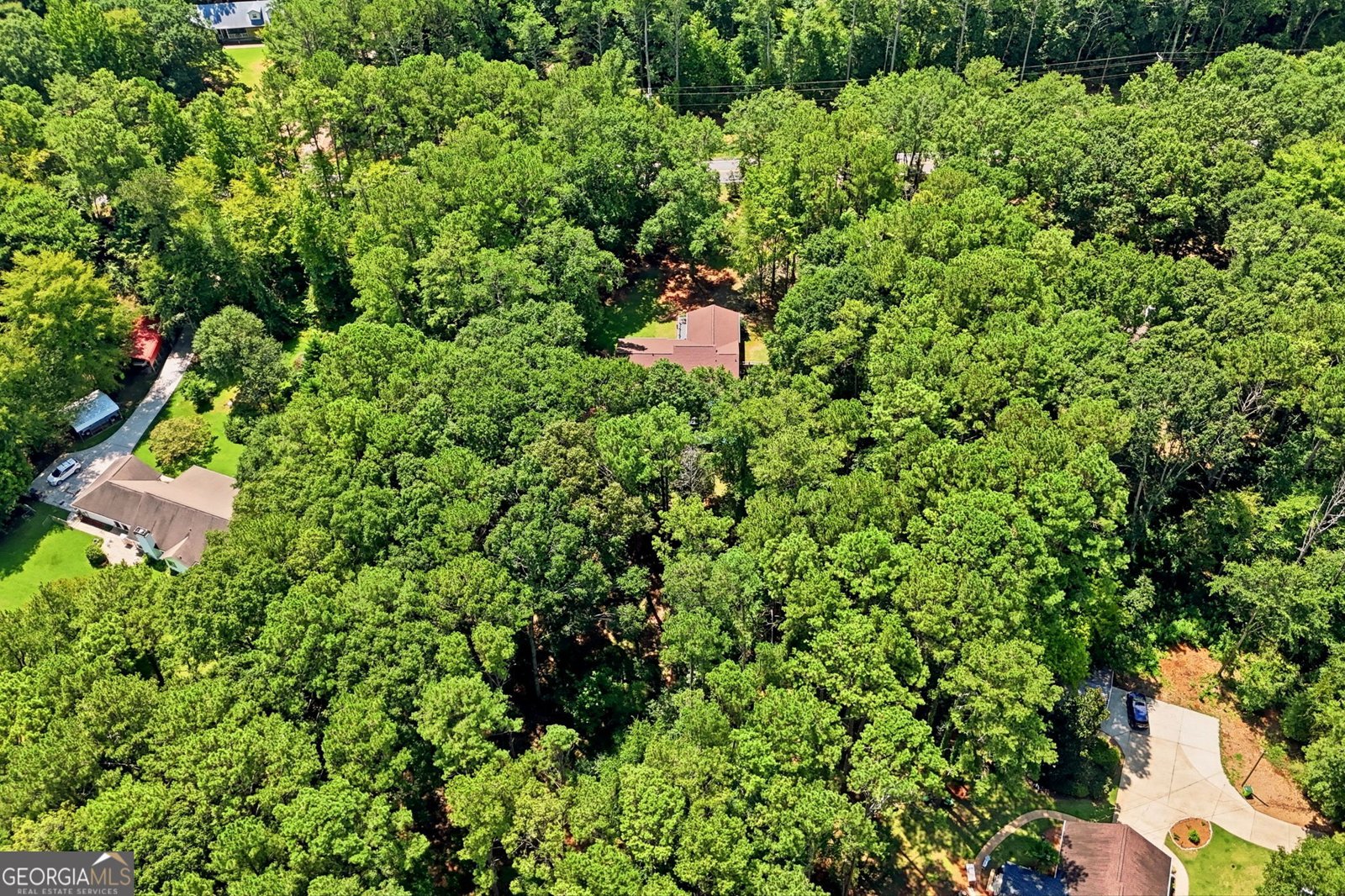 113 Honey Creek Road McDonough - Photo 48