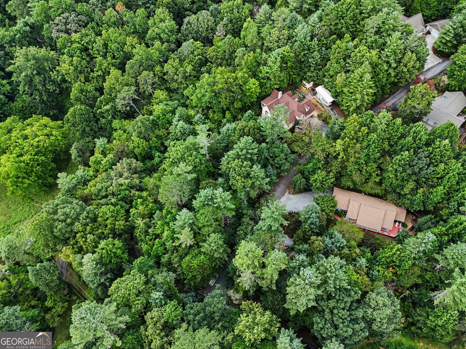 171 Bell Colony Road Dillard - Photo 72