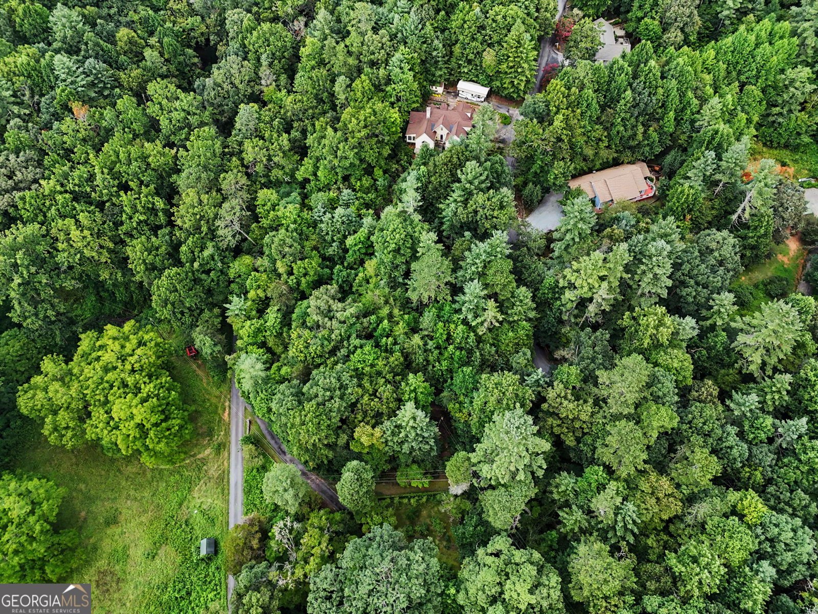 171 Bell Colony Road Dillard - Photo 73