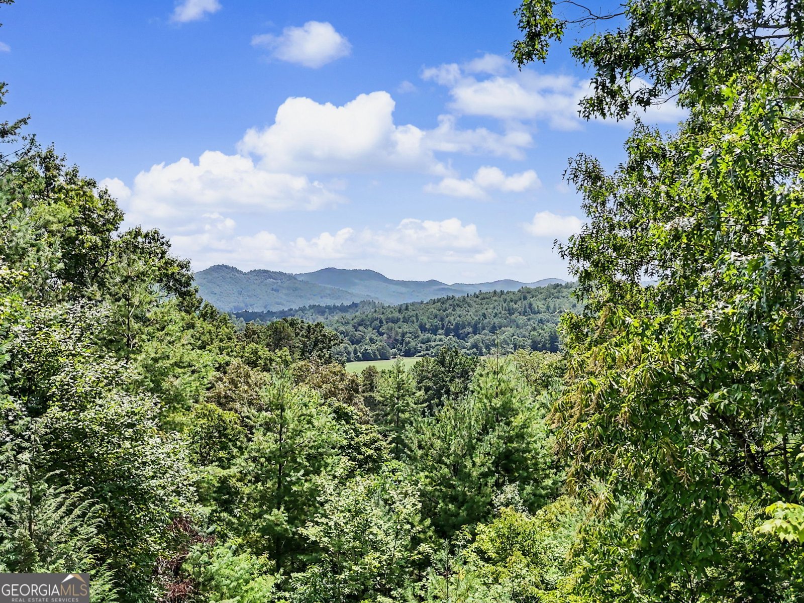 171 Bell Colony Road Dillard - Photo 9