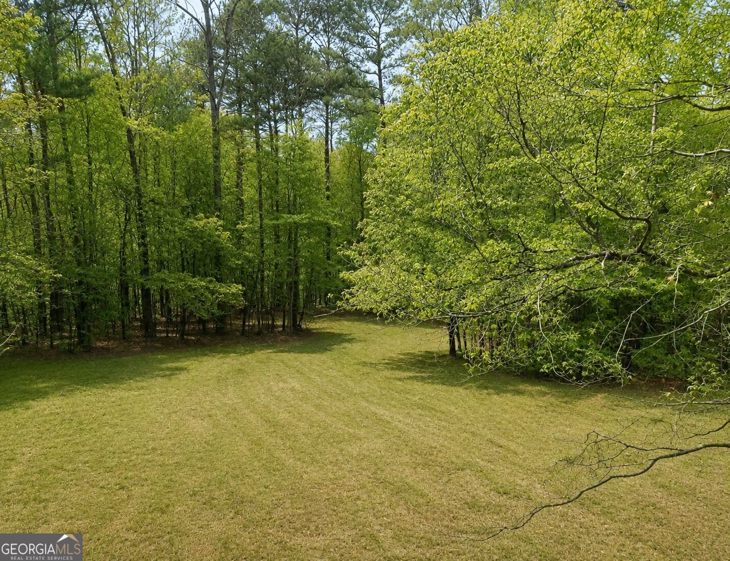 145 Mill Run Fayetteville - Photo 20