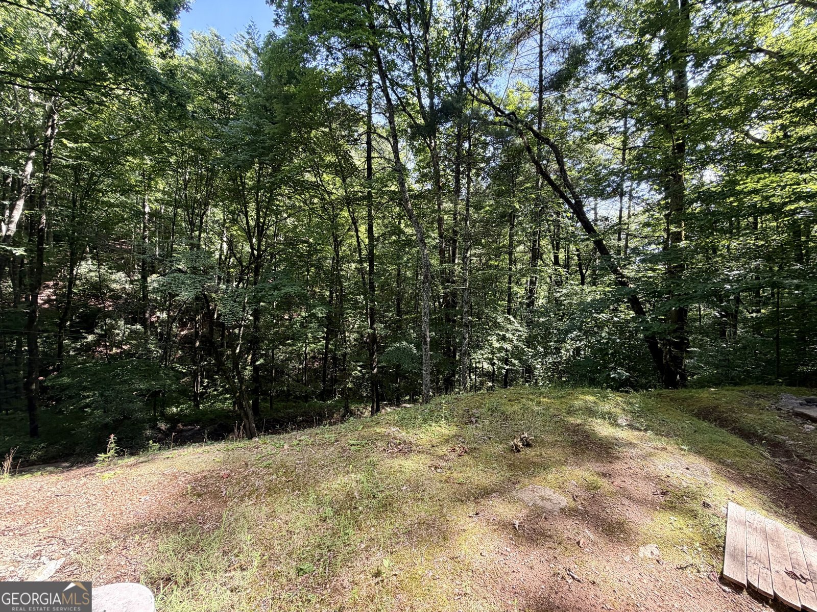 119 Cub Lane Rabun Gap - Photo 17