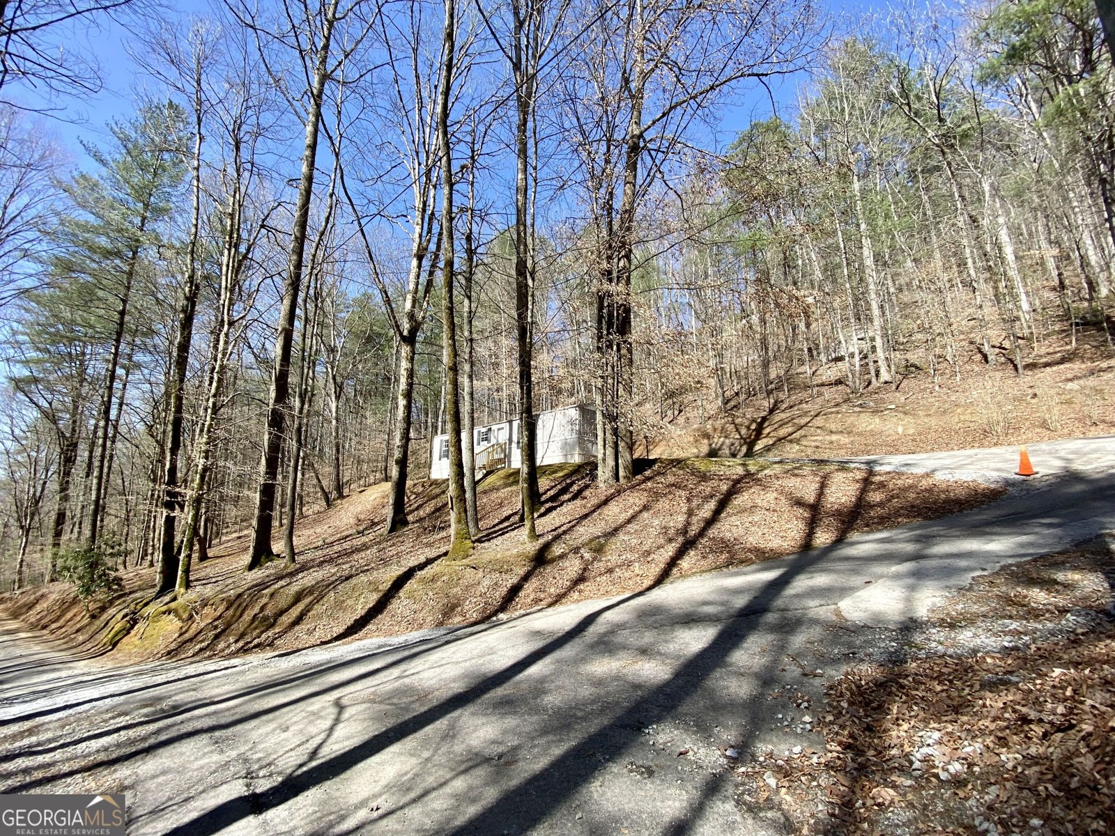 119 Cub Lane Rabun Gap - Photo 19