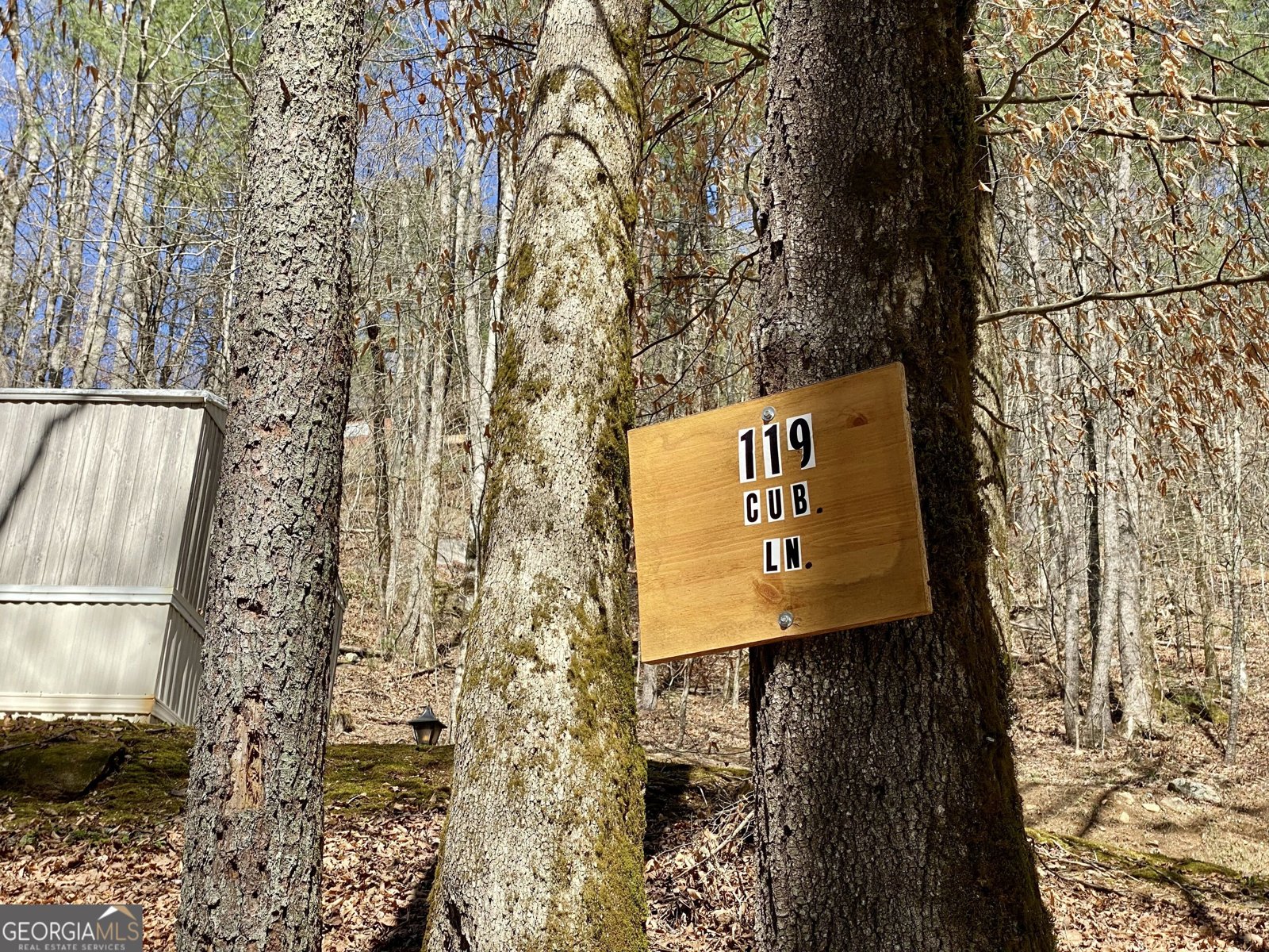 119 Cub Lane Rabun Gap - Photo 20