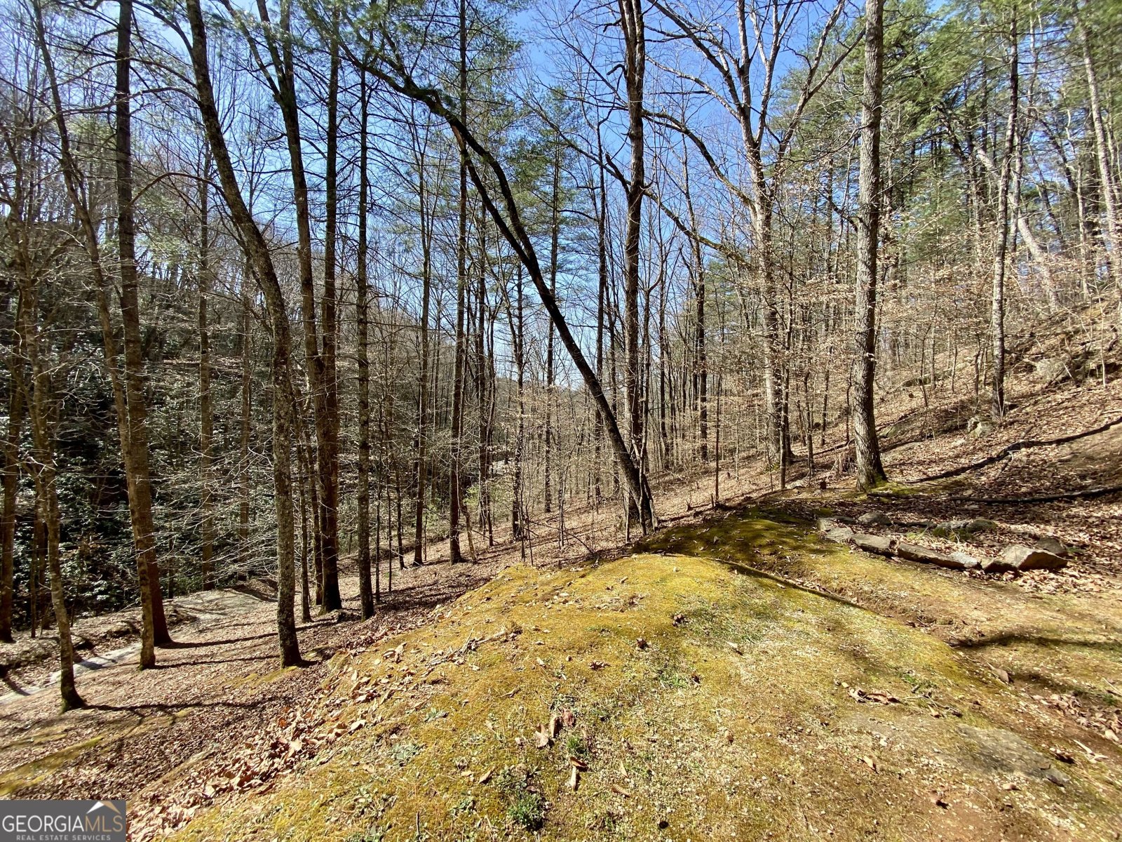 119 Cub Lane Rabun Gap - Photo 29