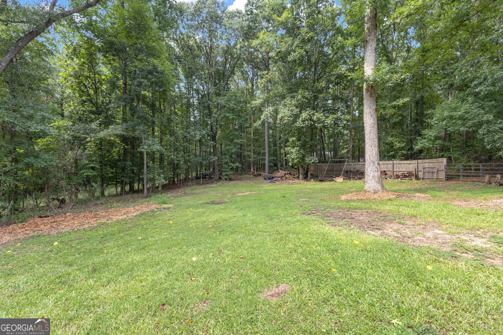 25 Overview Place Senoia - Photo 51