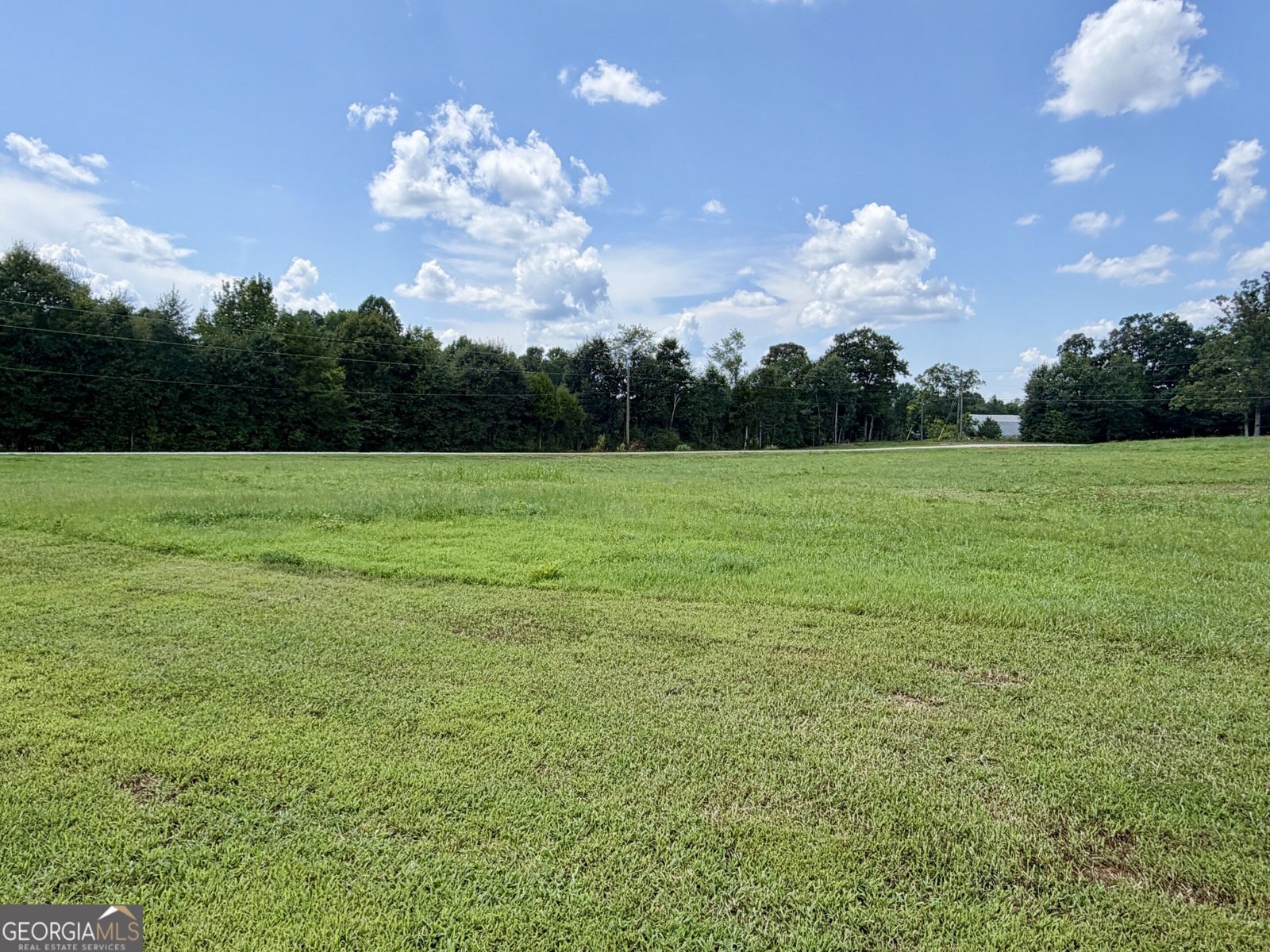 2118 Brewers Mill Road Elberton - Photo 36