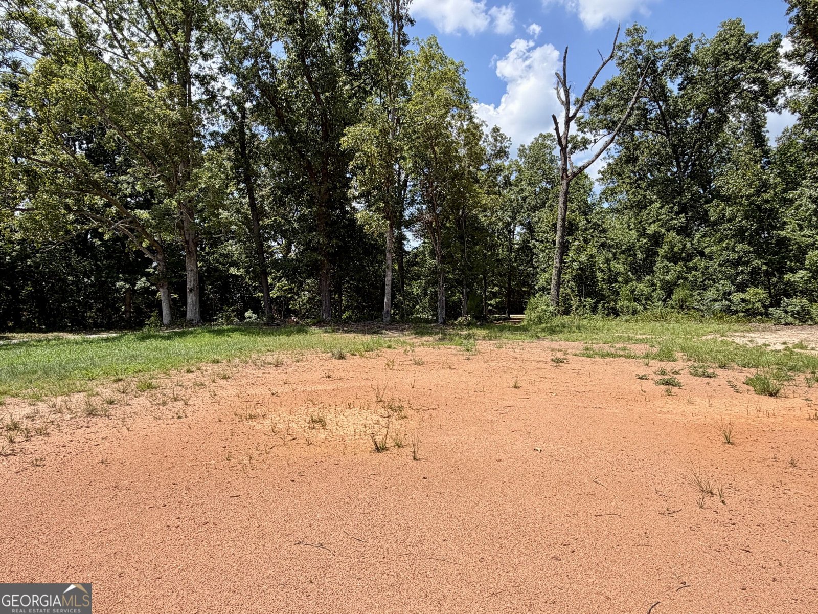 2118 Brewers Mill Road Elberton - Photo 42
