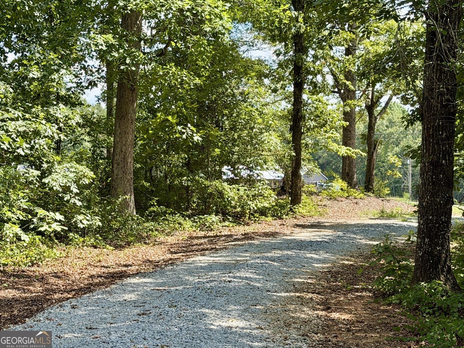 2118 Brewers Mill Road Elberton - Photo 44