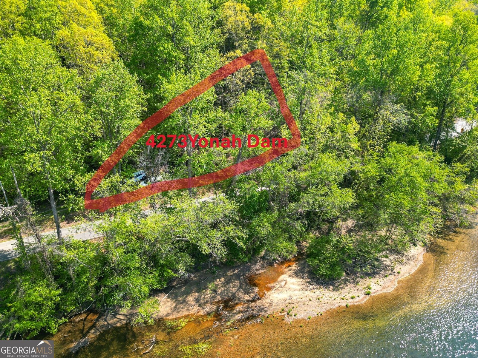4273 Yonah Dam Road Toccoa - Photo 48