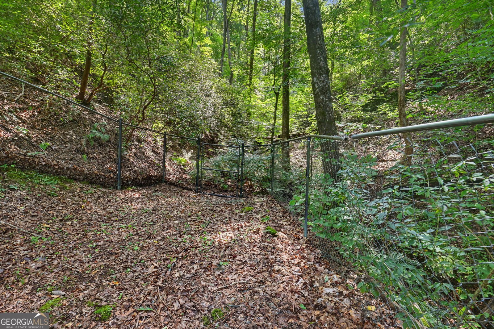 4273 Yonah Dam Road Toccoa - Photo 8