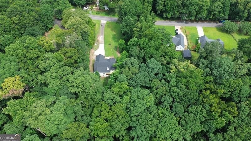 420 Henry Pirkle Drive Dawsonville - Photo 59