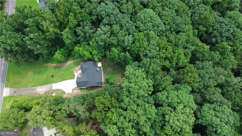 420 Henry Pirkle Drive Dawsonville - Photo 60