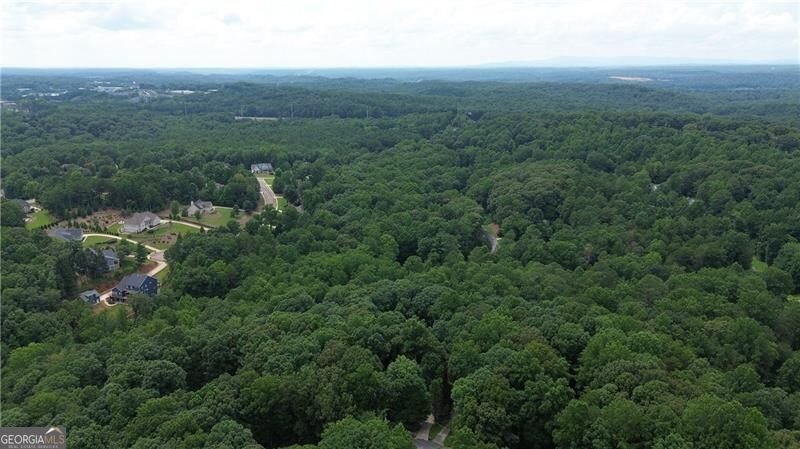 420 Henry Pirkle Drive Dawsonville - Photo 62