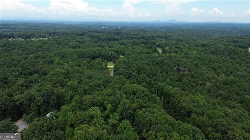 420 Henry Pirkle Drive Dawsonville - Photo 63