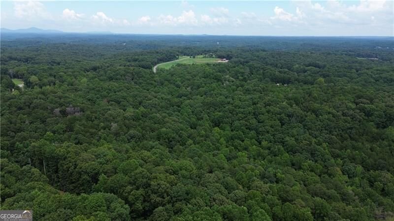 420 Henry Pirkle Drive Dawsonville - Photo 64
