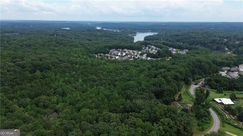 420 Henry Pirkle Drive Dawsonville - Photo 65