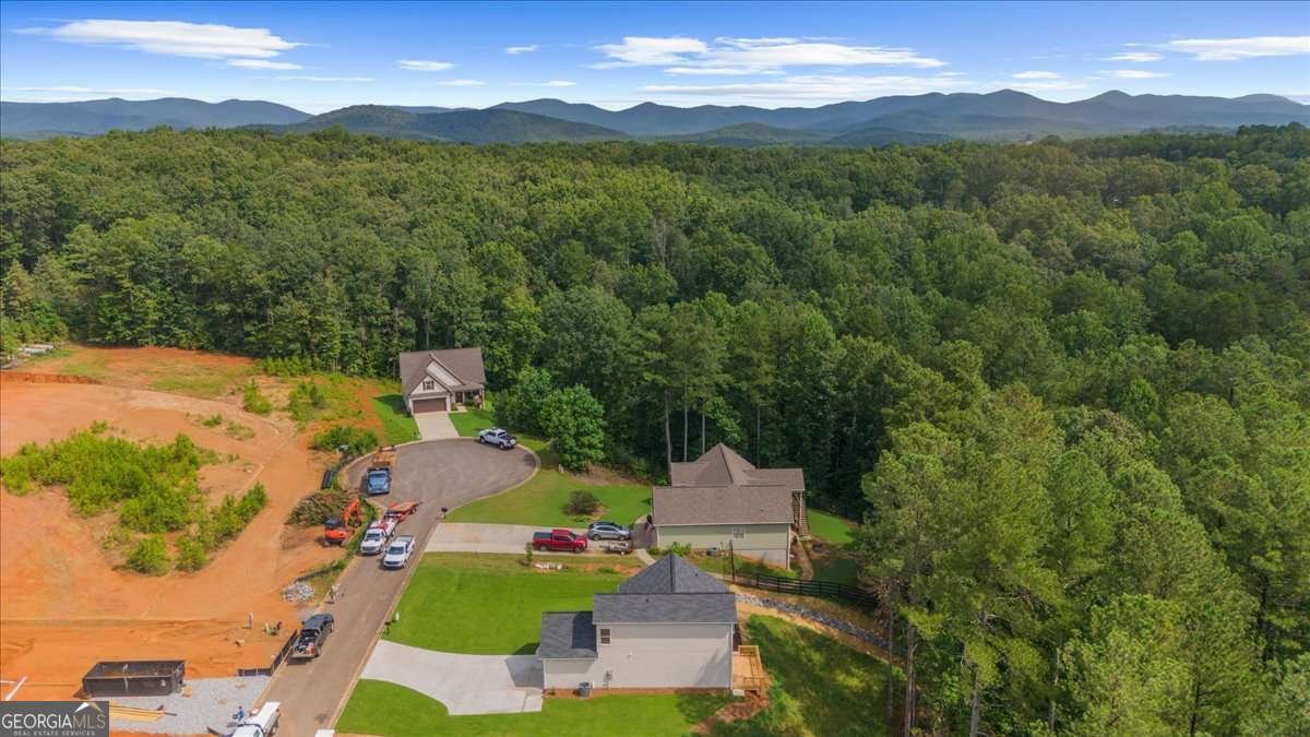 370 West Woods Drive Dahlonega - Photo 44