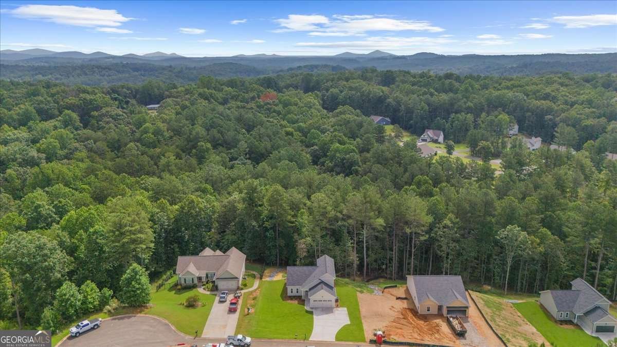 370 West Woods Drive Dahlonega - Photo 45