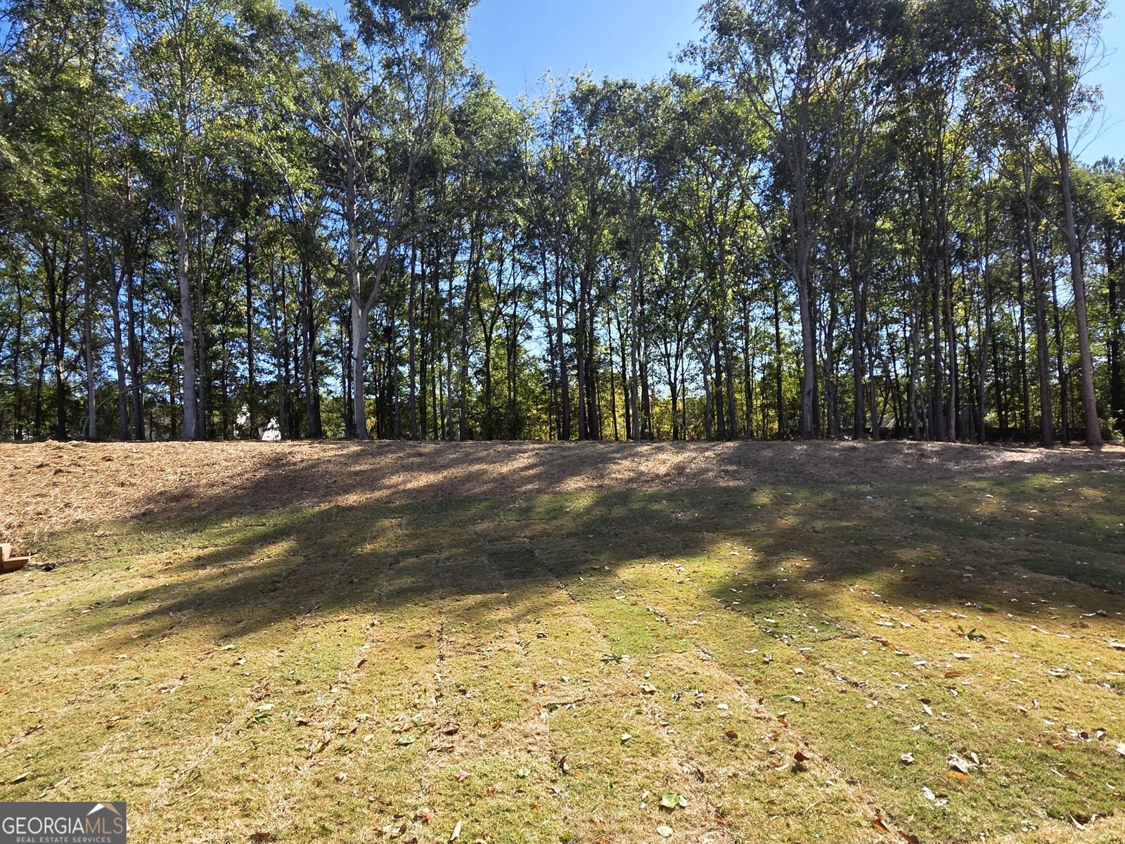 374 Meadows Drive Bethlehem - Photo 43