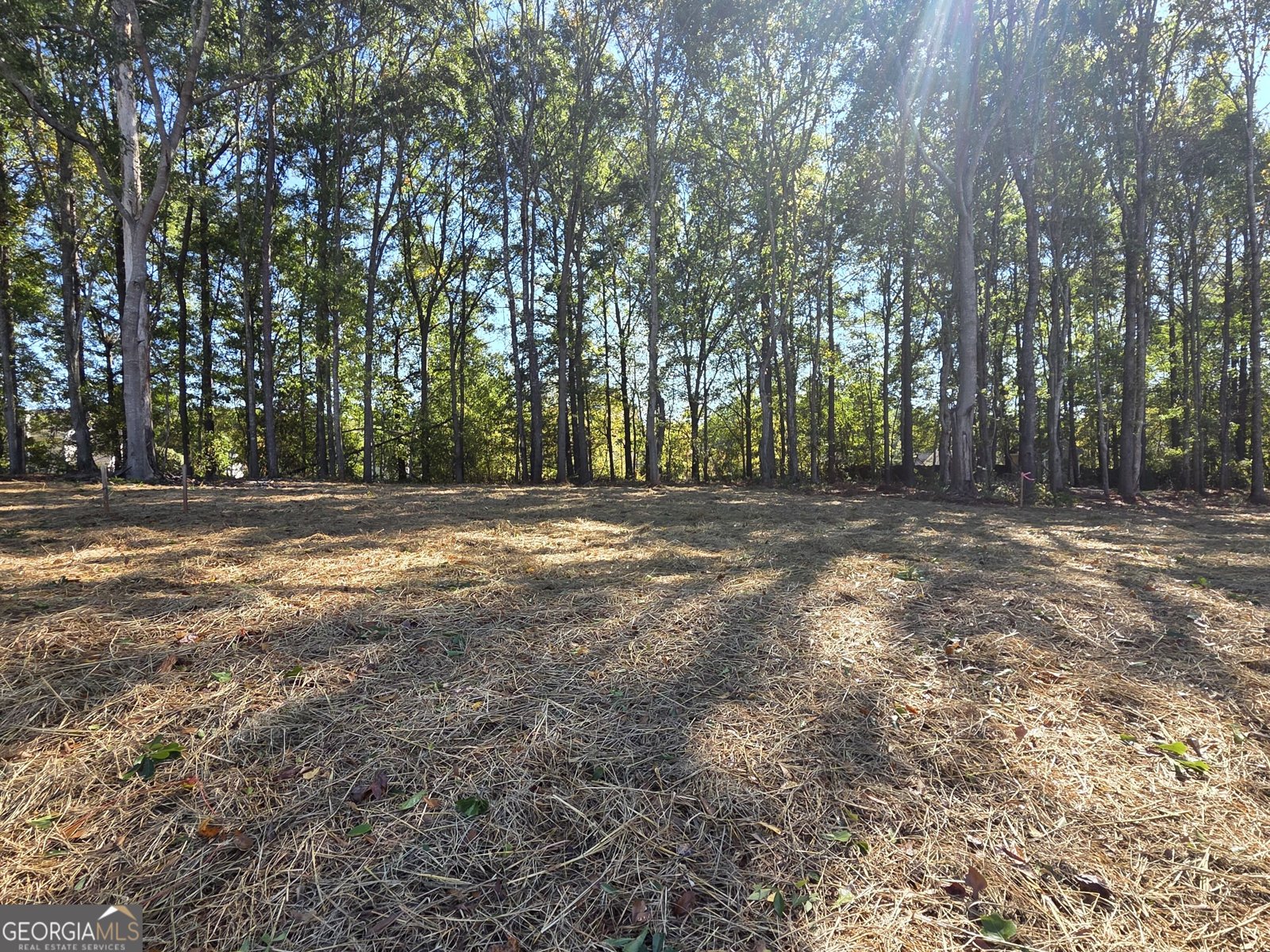 374 Meadows Drive Bethlehem - Photo 44