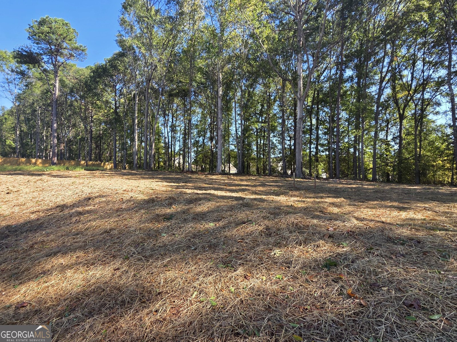 374 Meadows Drive Bethlehem - Photo 45