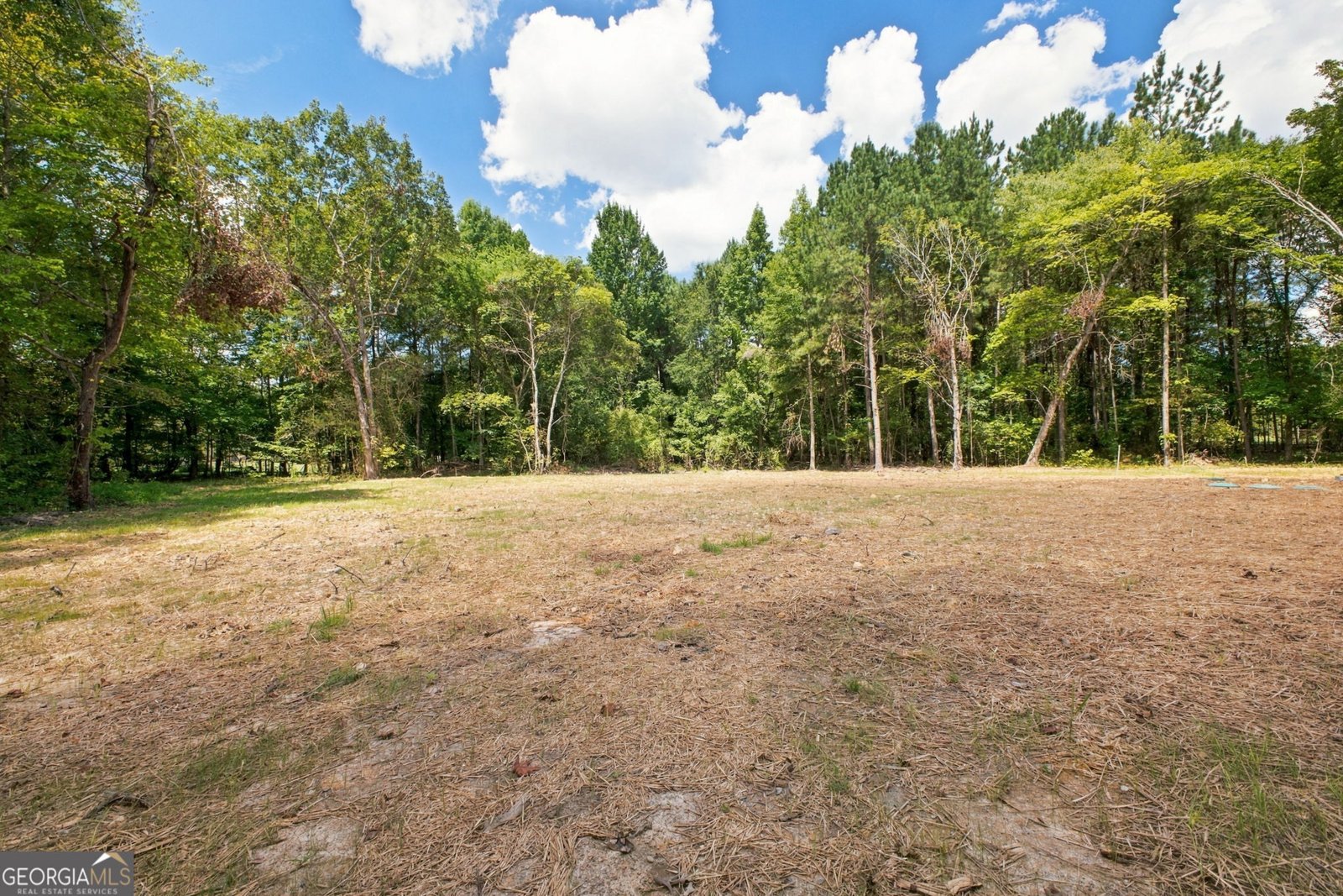 45 Albert Avenue Rome - Photo 37