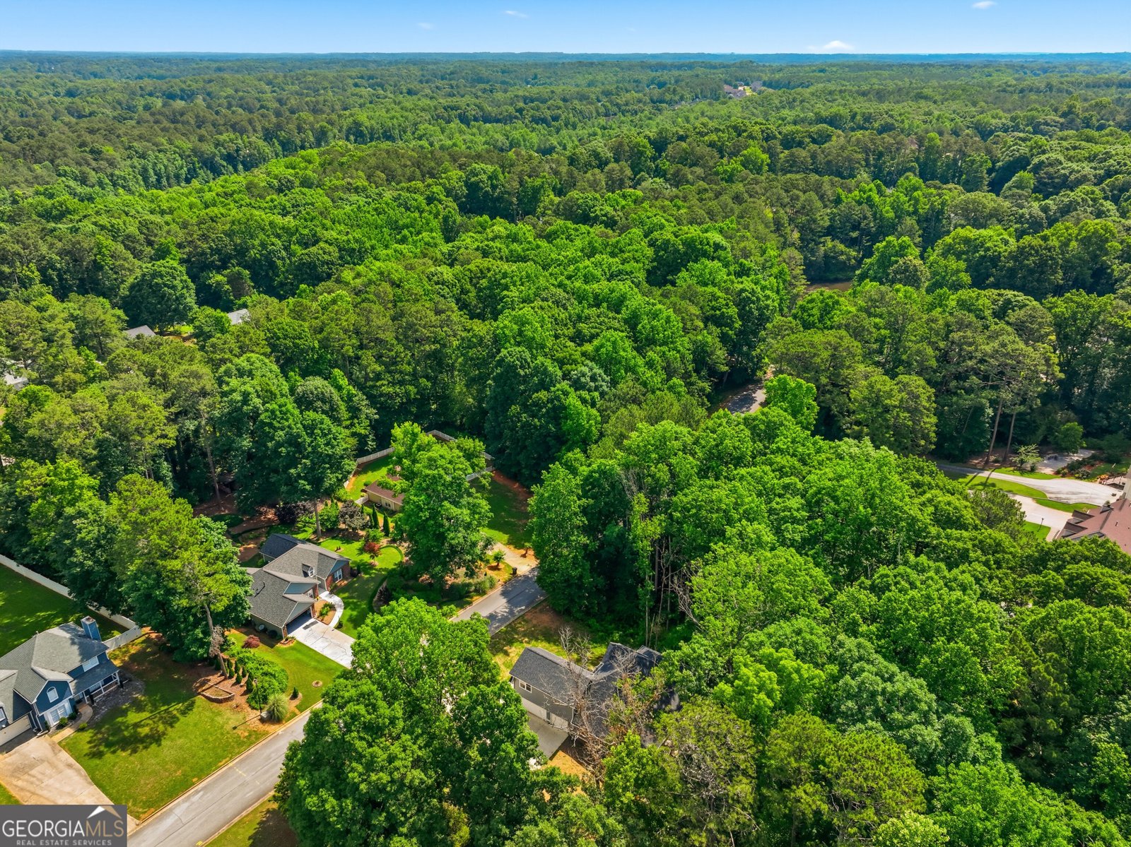 1119 Plantation Drive Conyers - Photo 54
