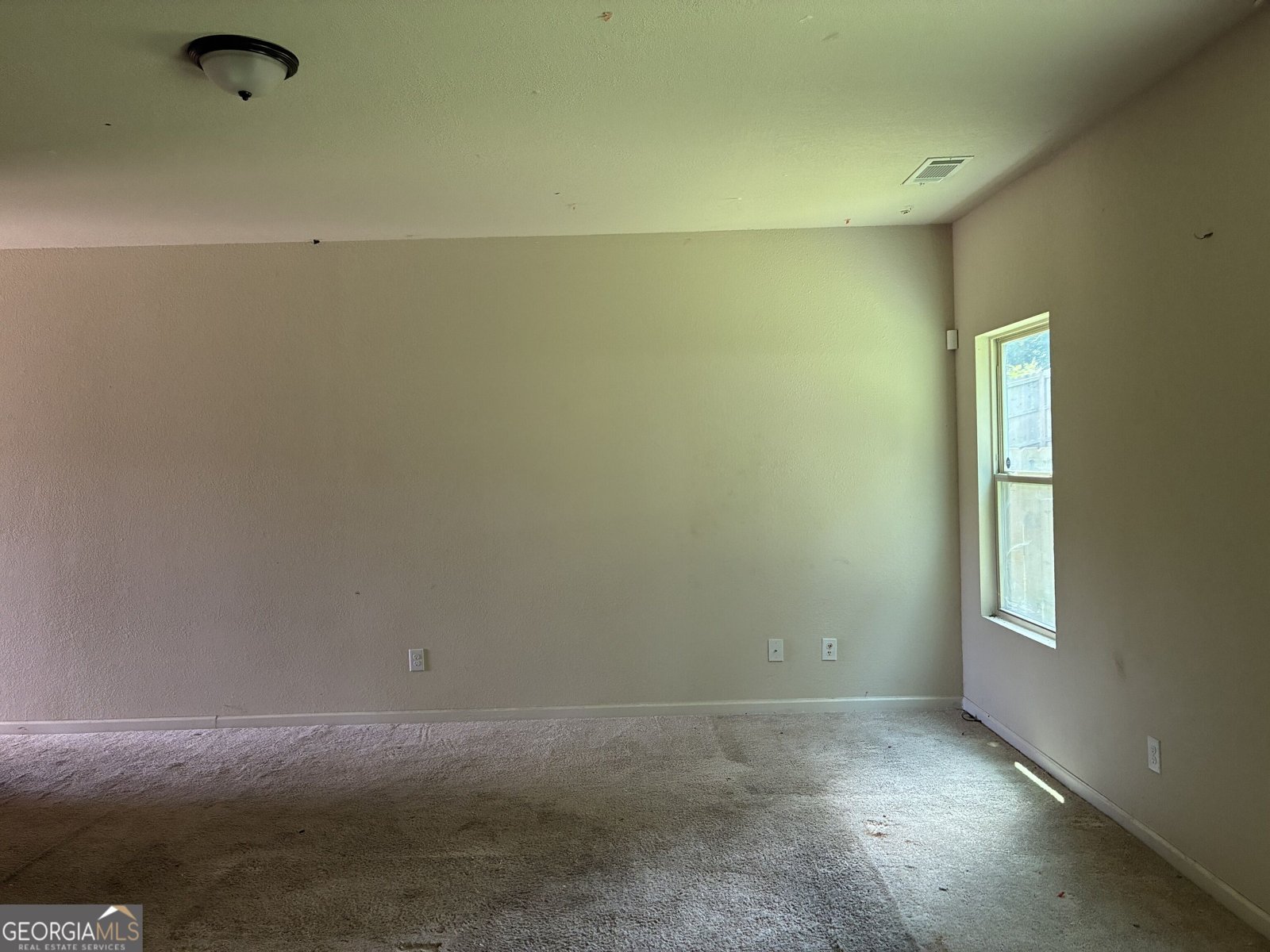 10990 Wheeler Trace Hampton - Photo 6